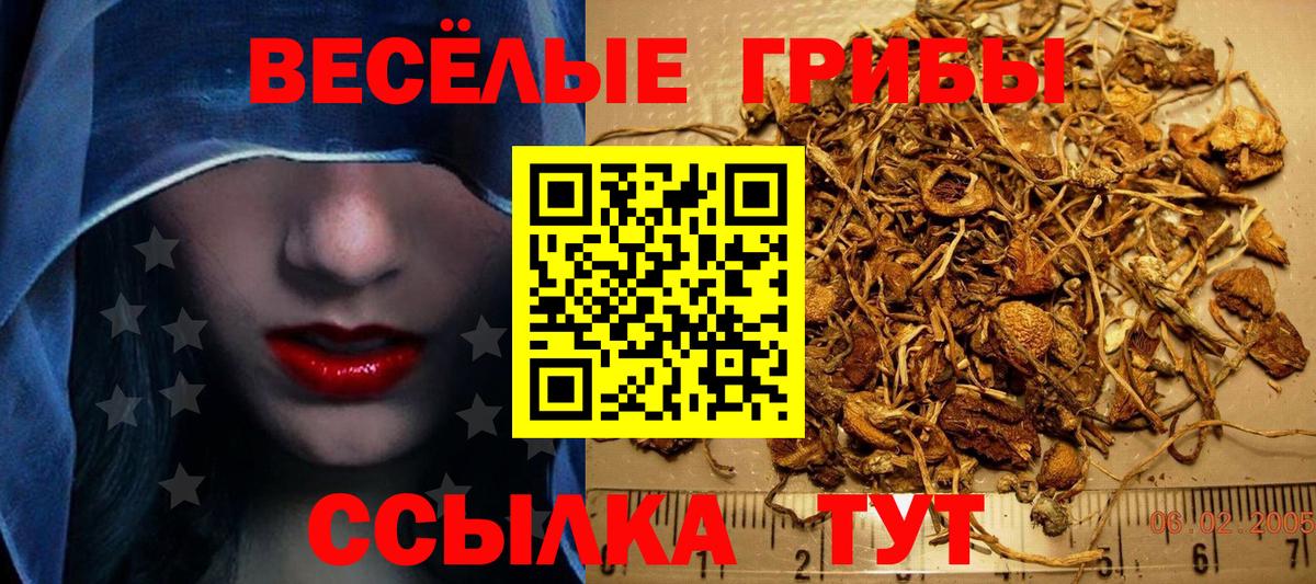 Элиста  Псилоцибиновые грибы Psilocybine cubensis  Галлюциногенные грибы GOLDEN TEACHER  Вход с VPN 