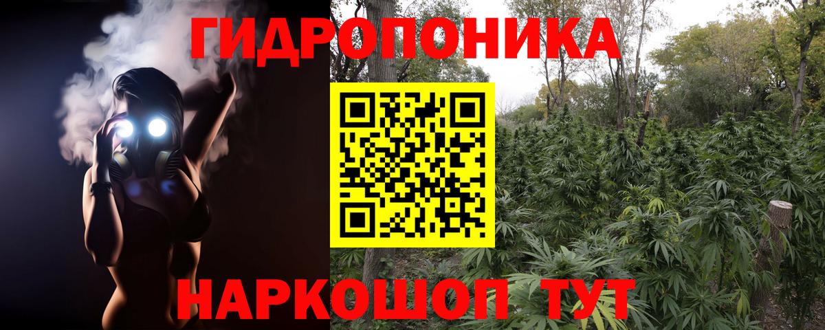Каннабис ГИДРОПОН  Вход с VPN  Элиста  Марихуана план  МАРИХУАНА OG Kush 