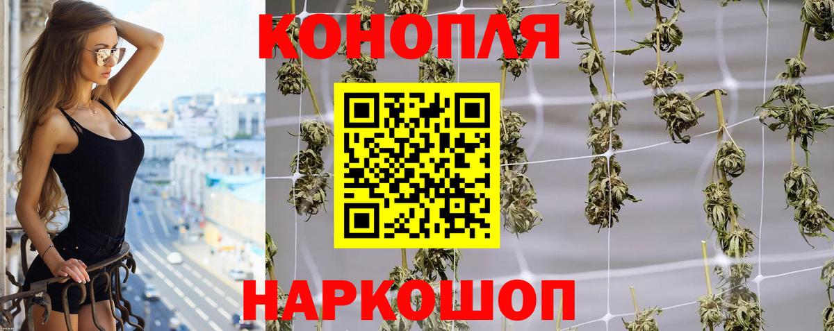 Конопля Ganja Элиста